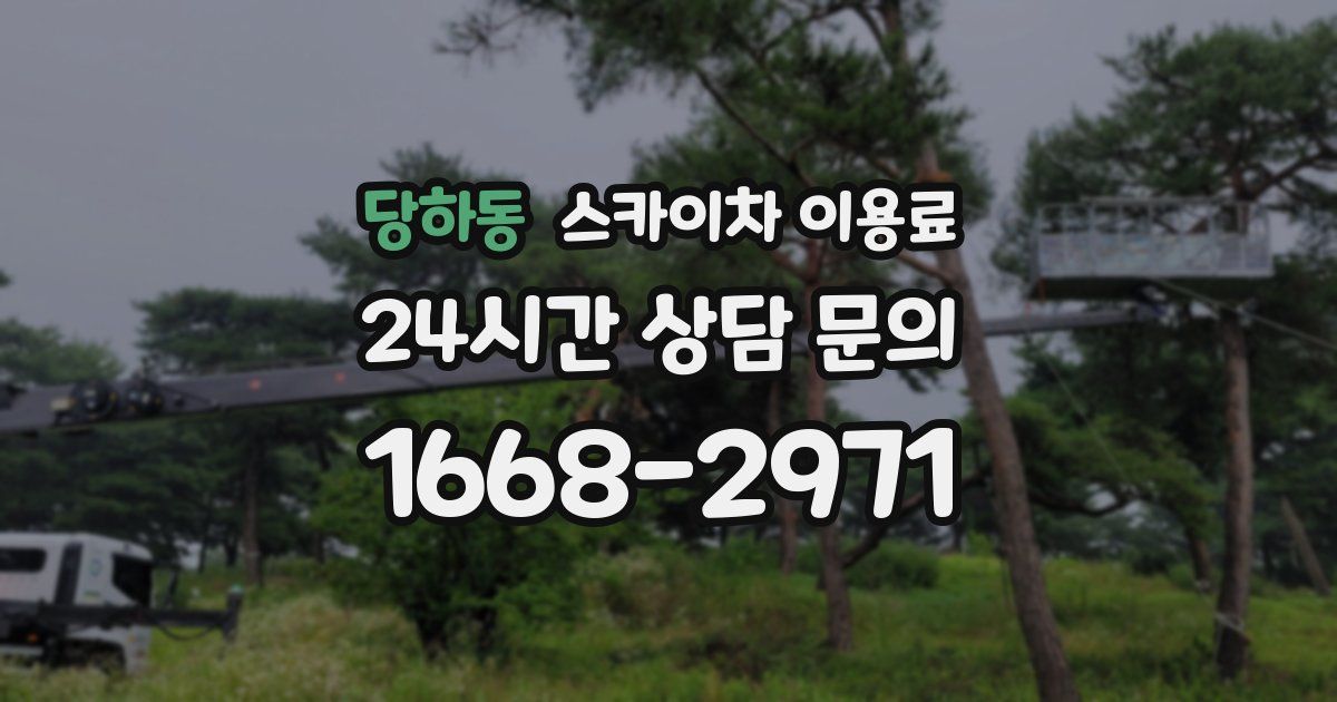 당하동 스카이차 이용료