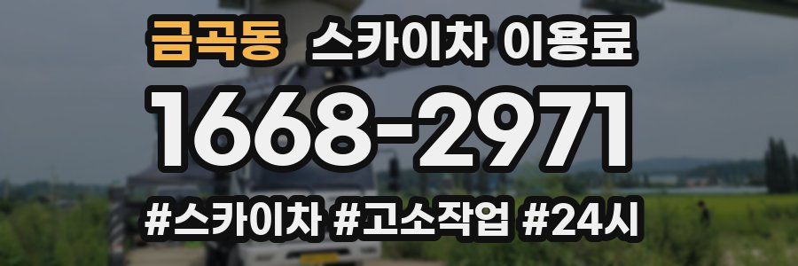 금곡동 스카이차 이용료