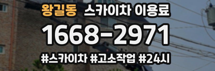 왕길동 스카이차 이용료