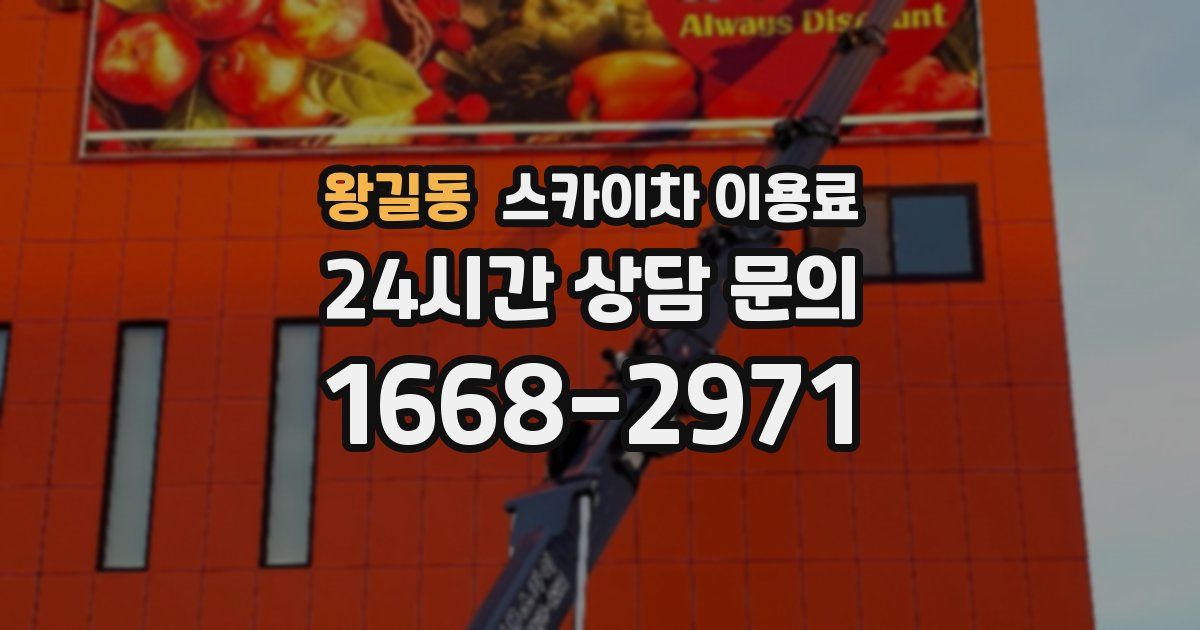 왕길동 스카이차 이용료