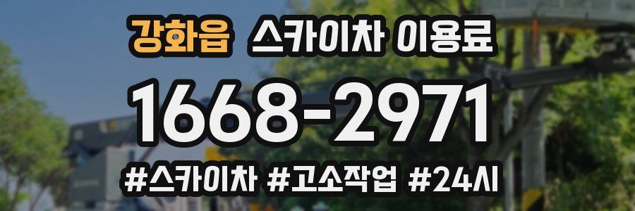 강화읍 스카이차 이용료