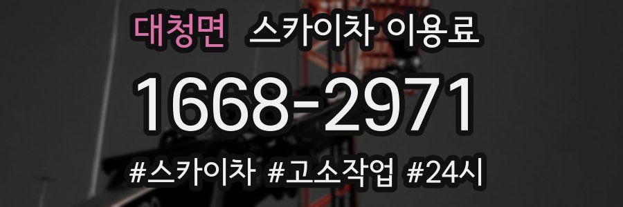 대청면 스카이차 이용료