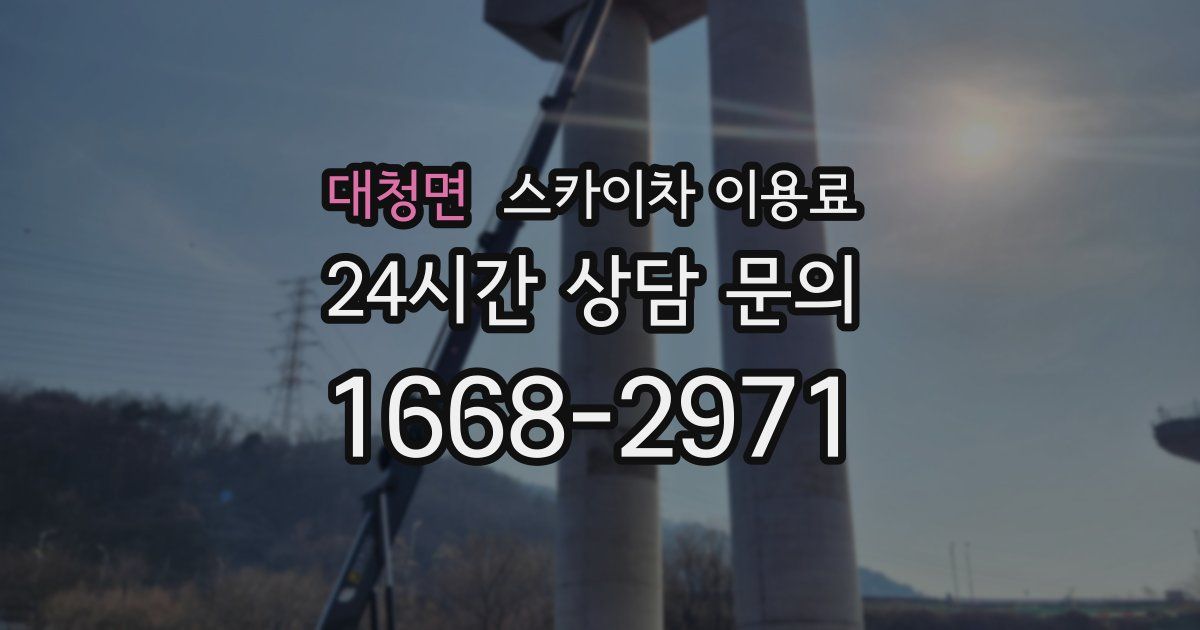 대청면 스카이차 이용료