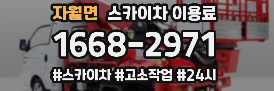 자월면 스카이차 이용료