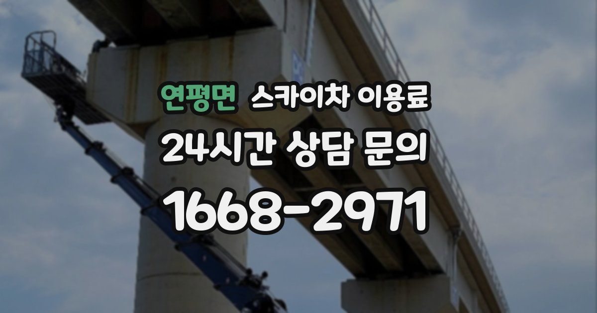 연평면 스카이차 이용료