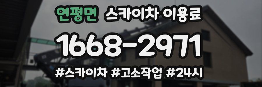 연평면 스카이차 이용료