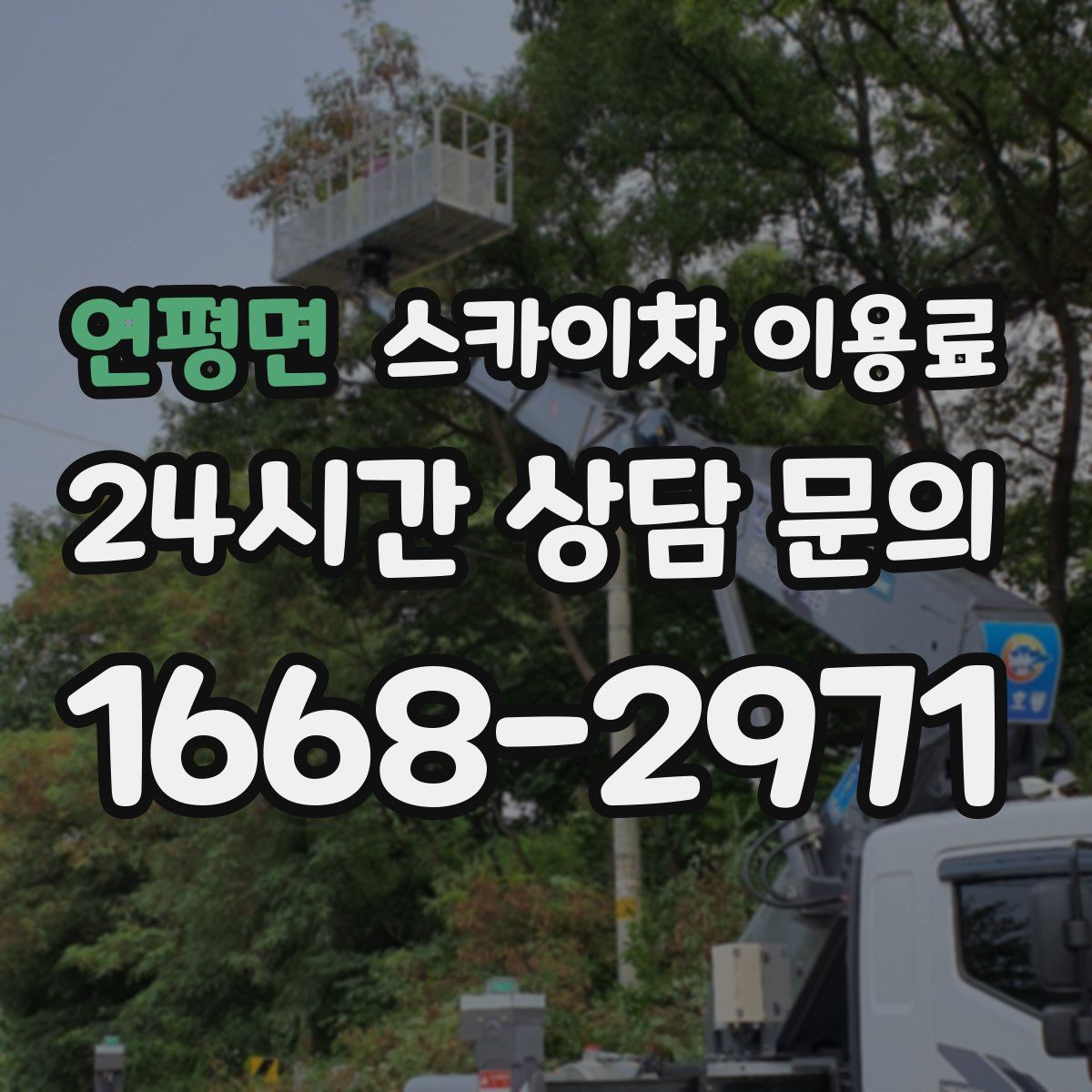 연평면 스카이차 이용료