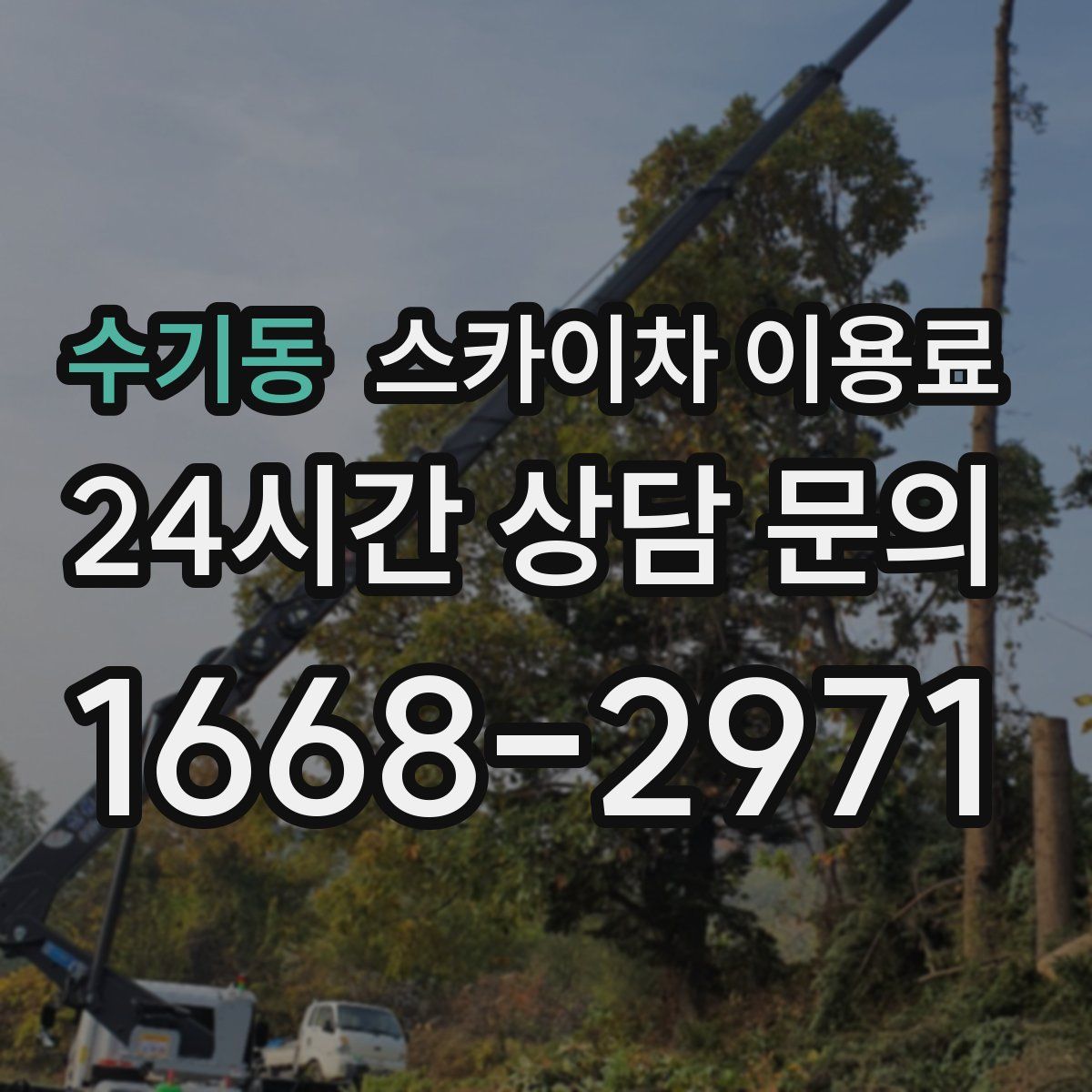 수기동 스카이차 이용료