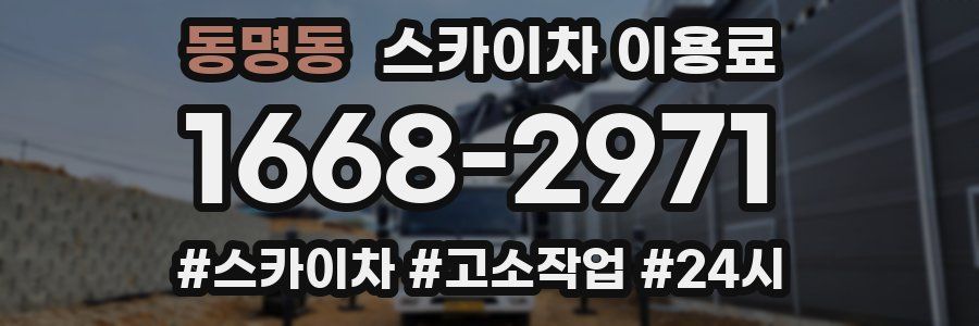 동명동 스카이차 이용료