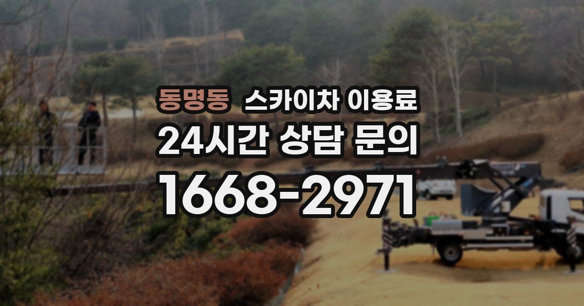 동명동 스카이차 이용료
