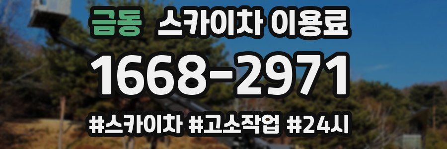 금동 스카이차 이용료