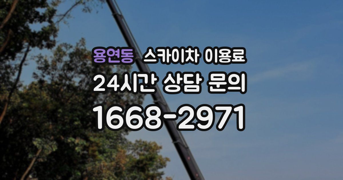 용연동 스카이차 이용료