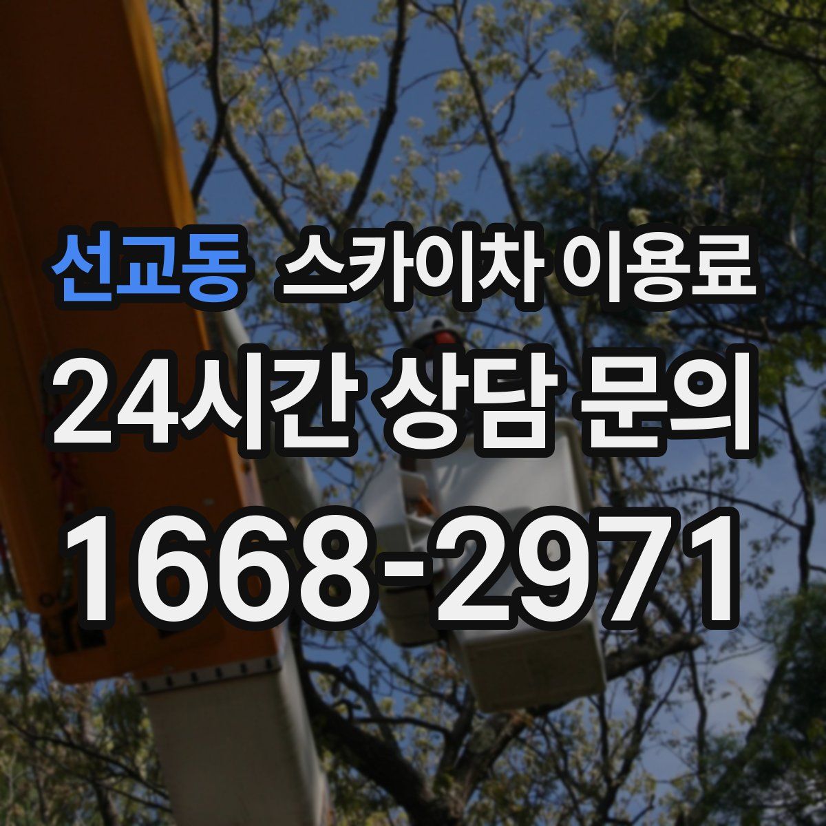 선교동 스카이차 이용료