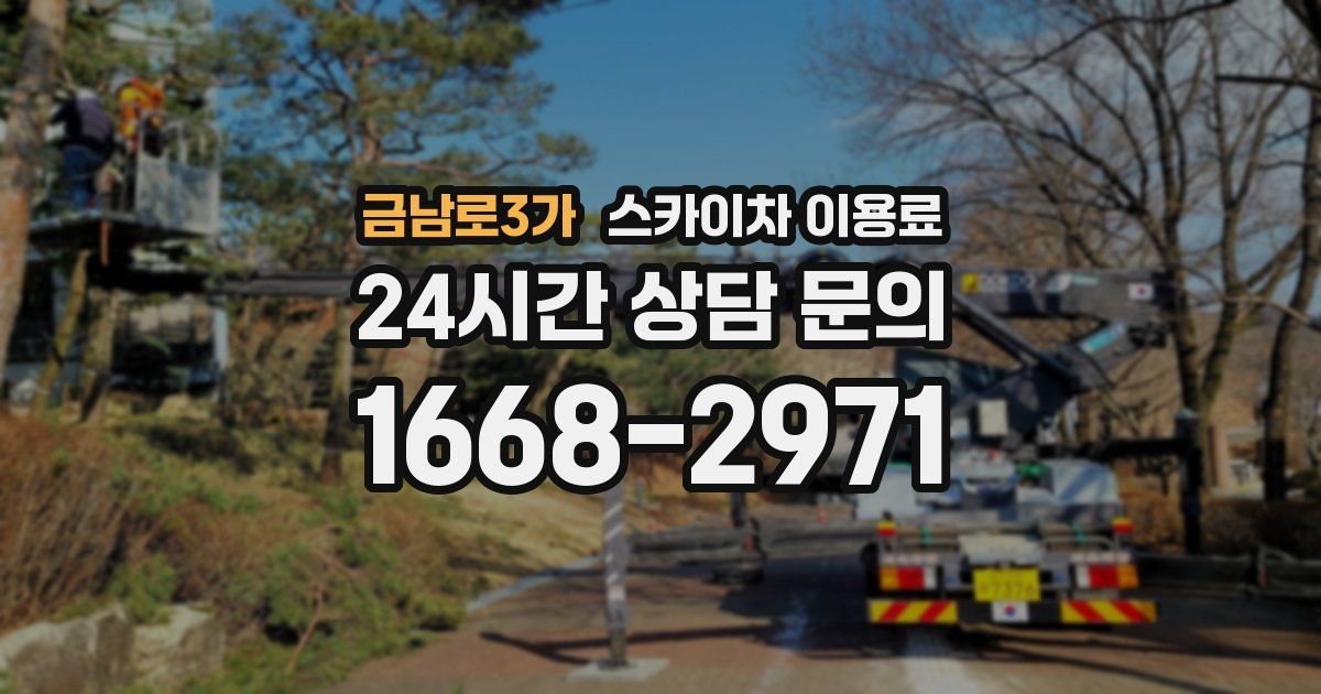금남로3가 스카이차 이용료