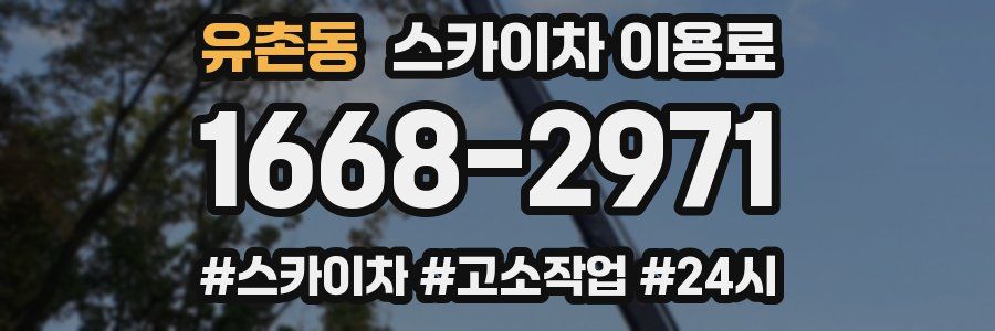 유촌동 스카이차 이용료