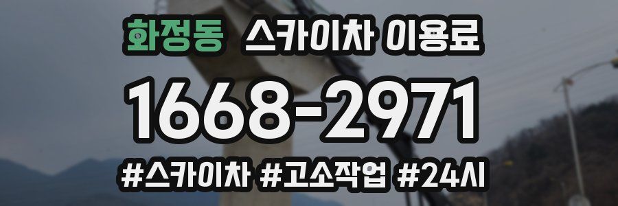 화정동 스카이차 이용료