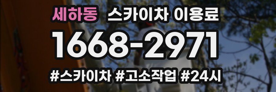 세하동 스카이차 이용료