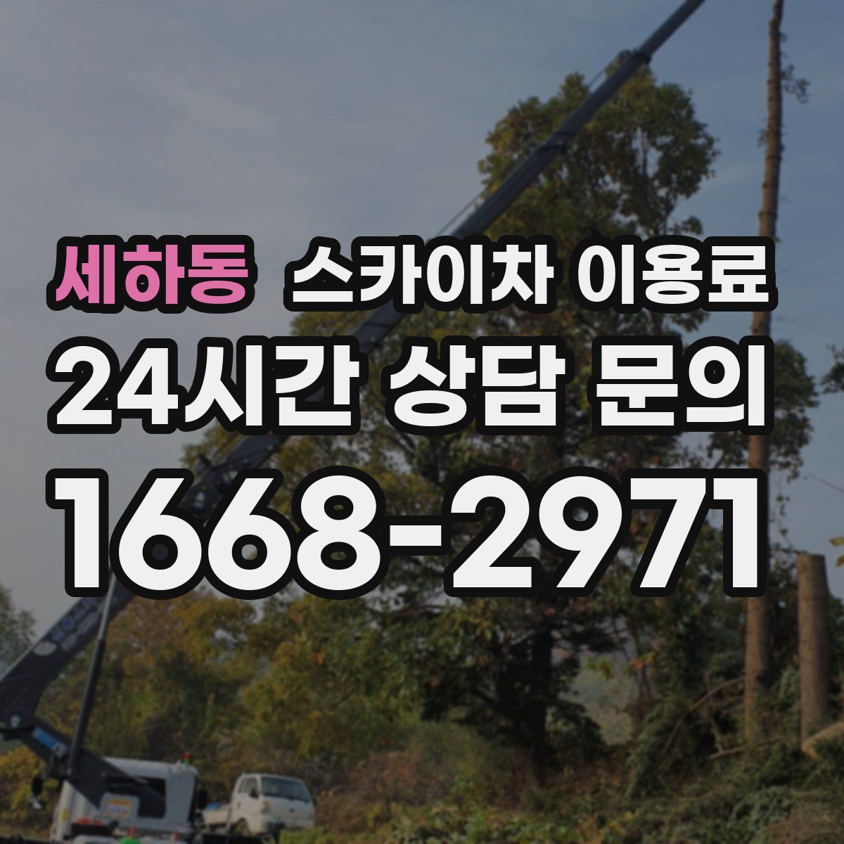 세하동 스카이차 이용료