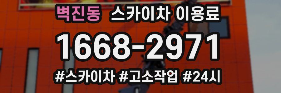 벽진동 스카이차 이용료