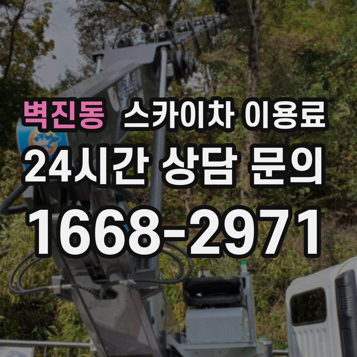 벽진동 스카이차 이용료