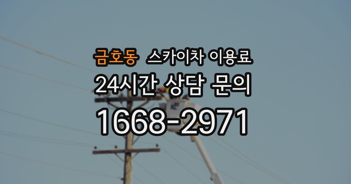 금호동 스카이차 이용료