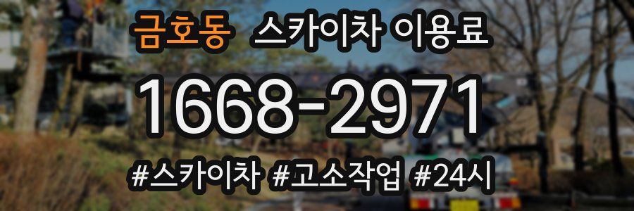 금호동 스카이차 이용료
