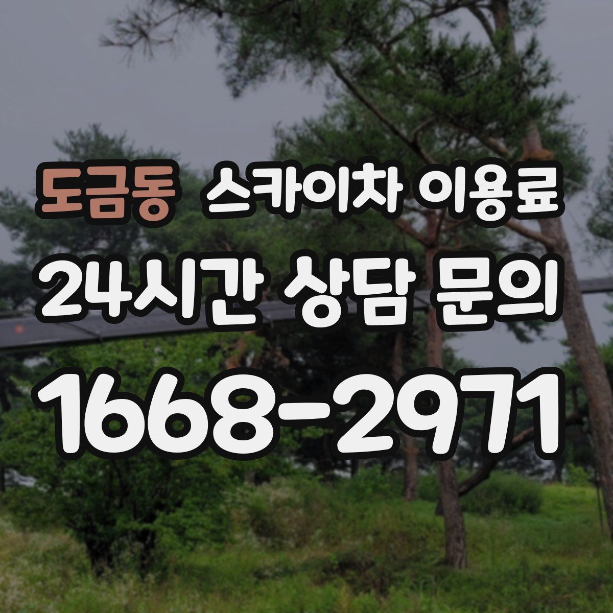 도금동 스카이차 이용료