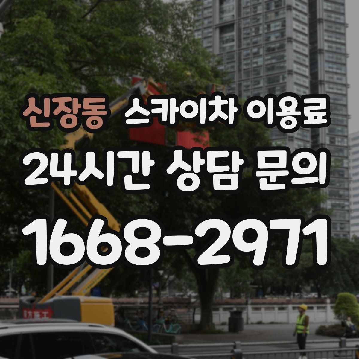 신장동 스카이차 이용료