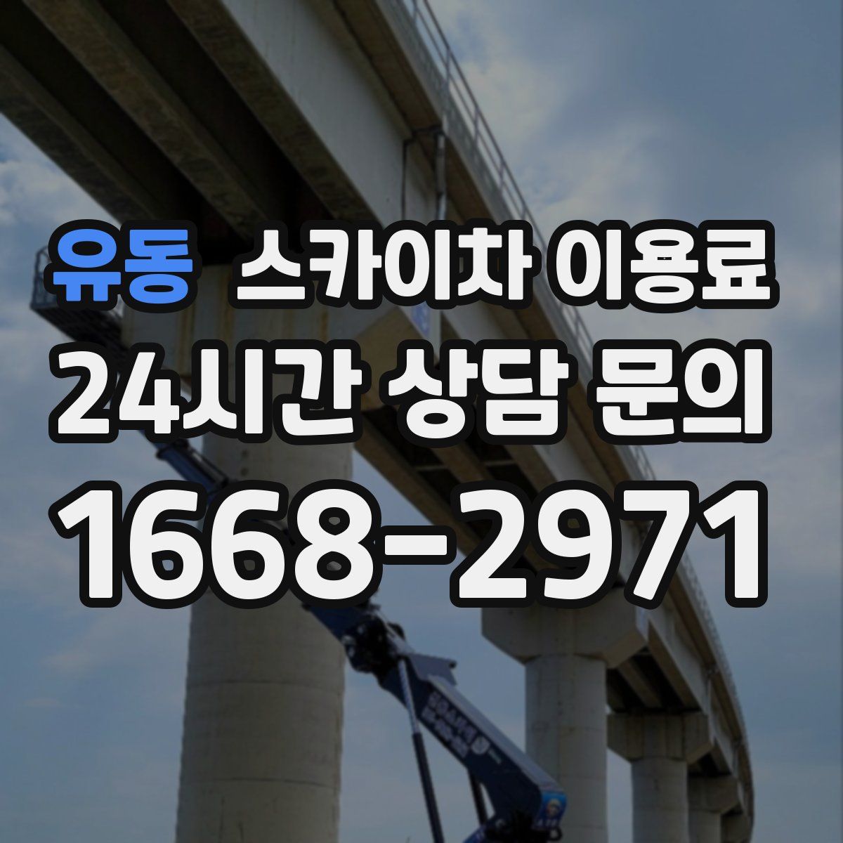 유동 스카이차 이용료