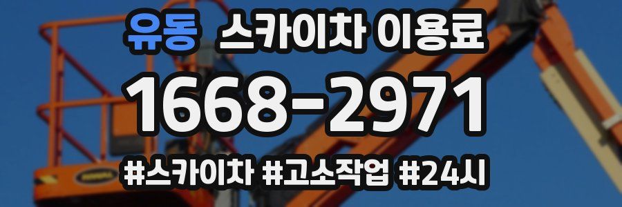 유동 스카이차 이용료