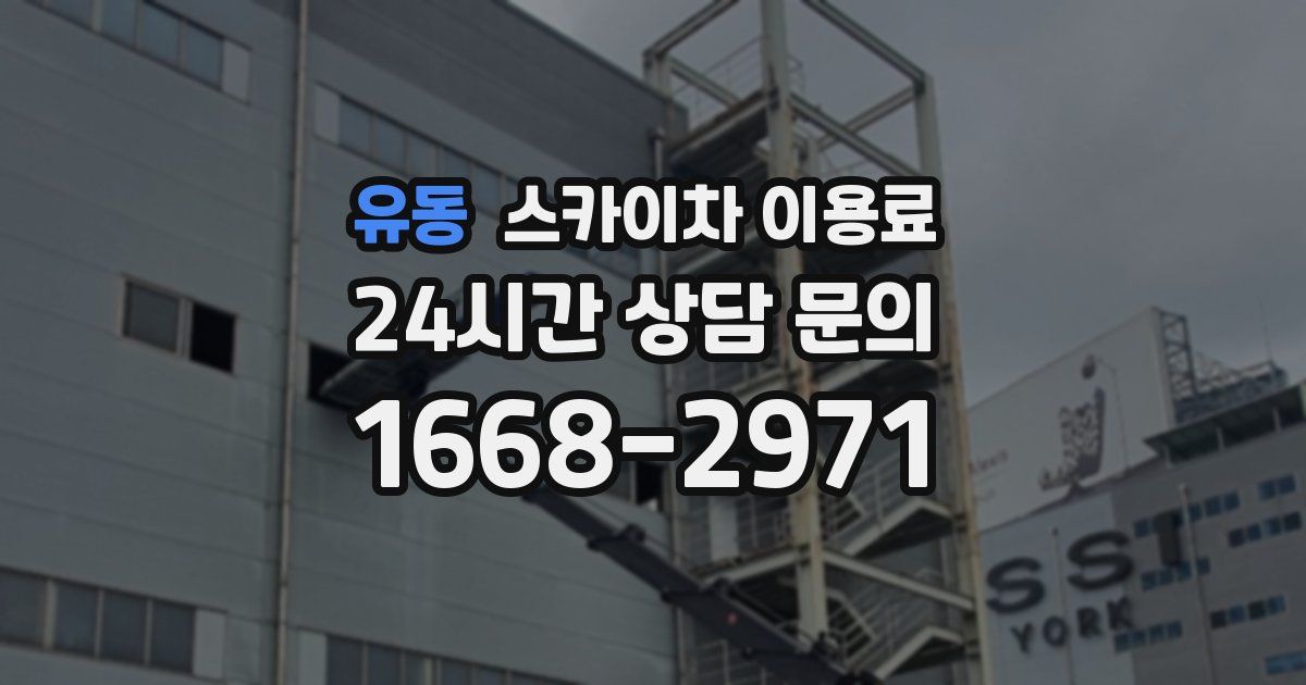 유동 스카이차 이용료
