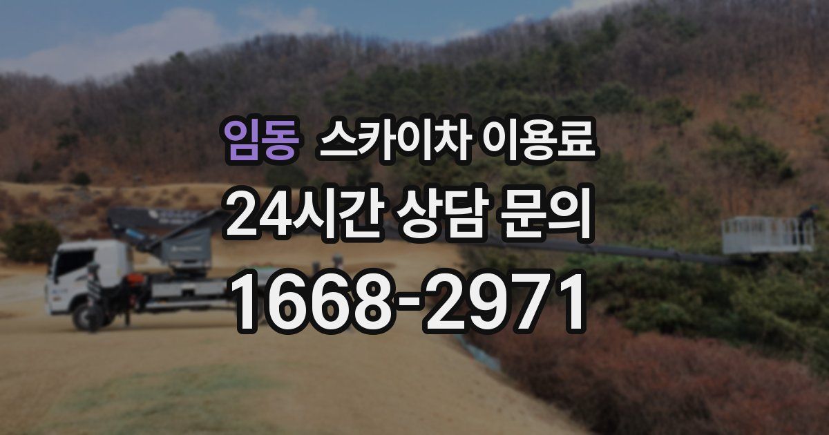 임동 스카이차 이용료