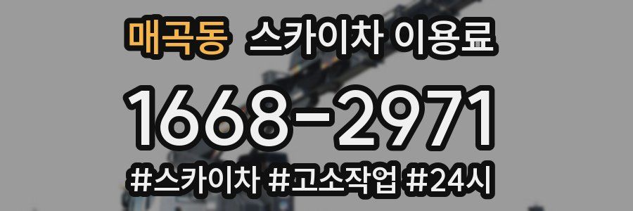 매곡동 스카이차 이용료