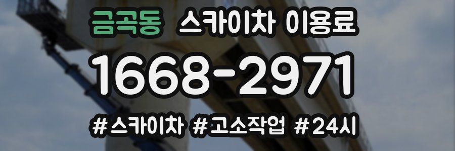 금곡동 스카이차 이용료