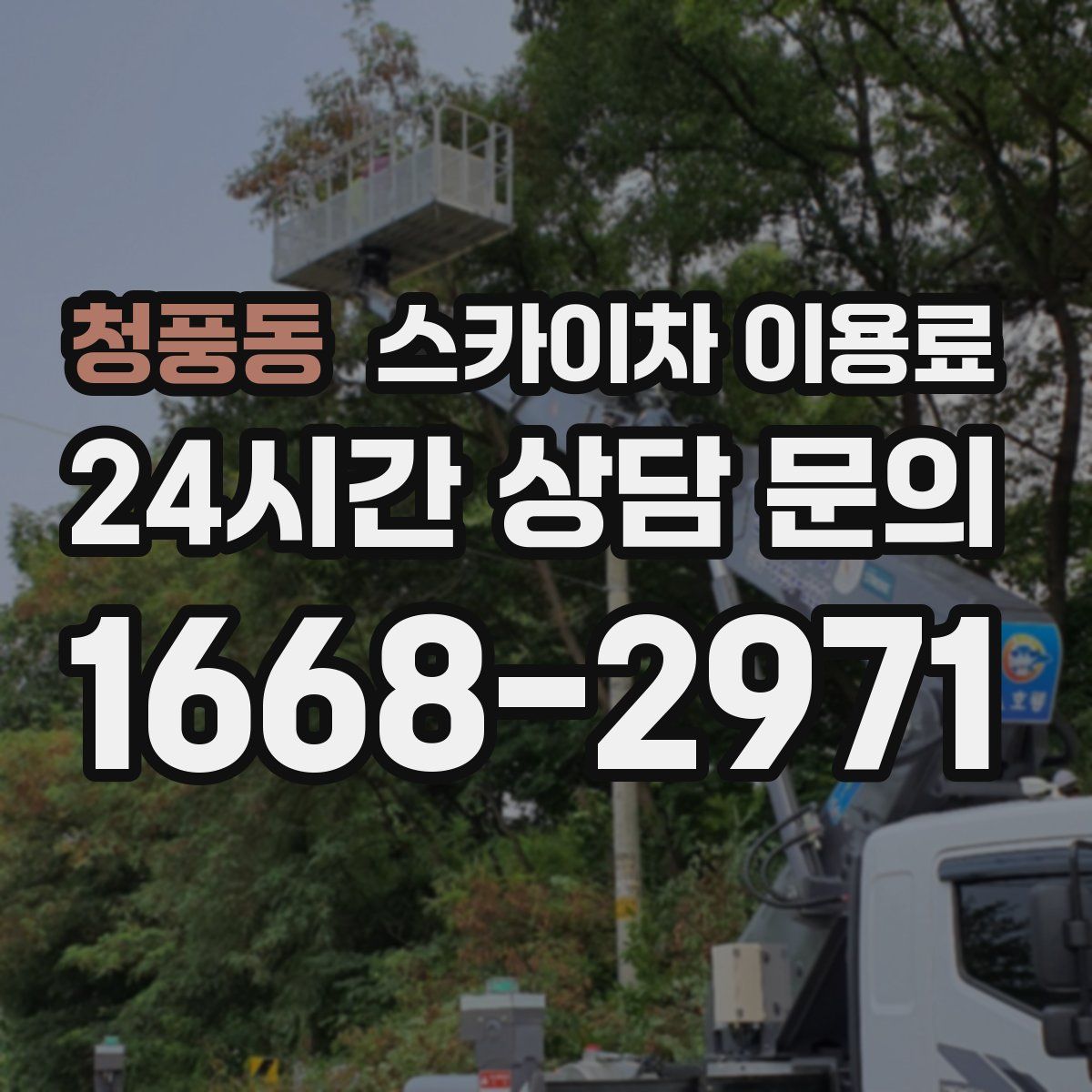 청풍동 스카이차 이용료