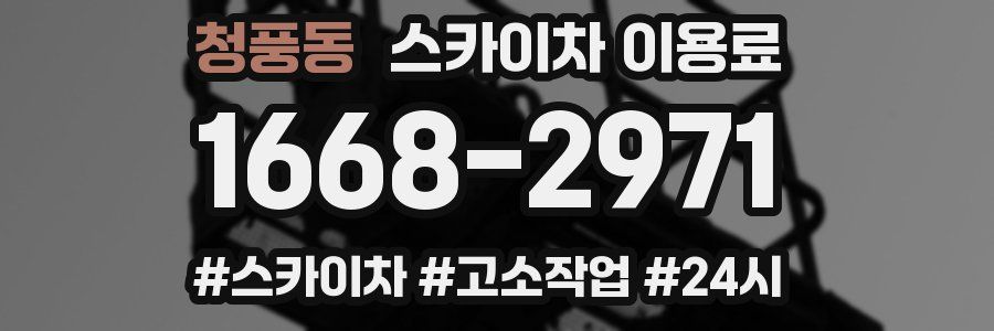청풍동 스카이차 이용료