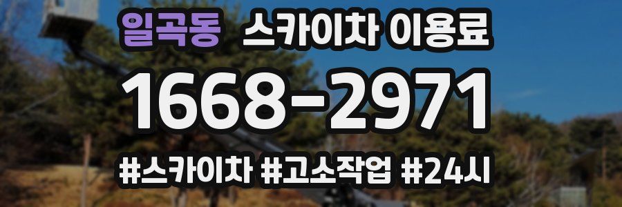 일곡동 스카이차 이용료