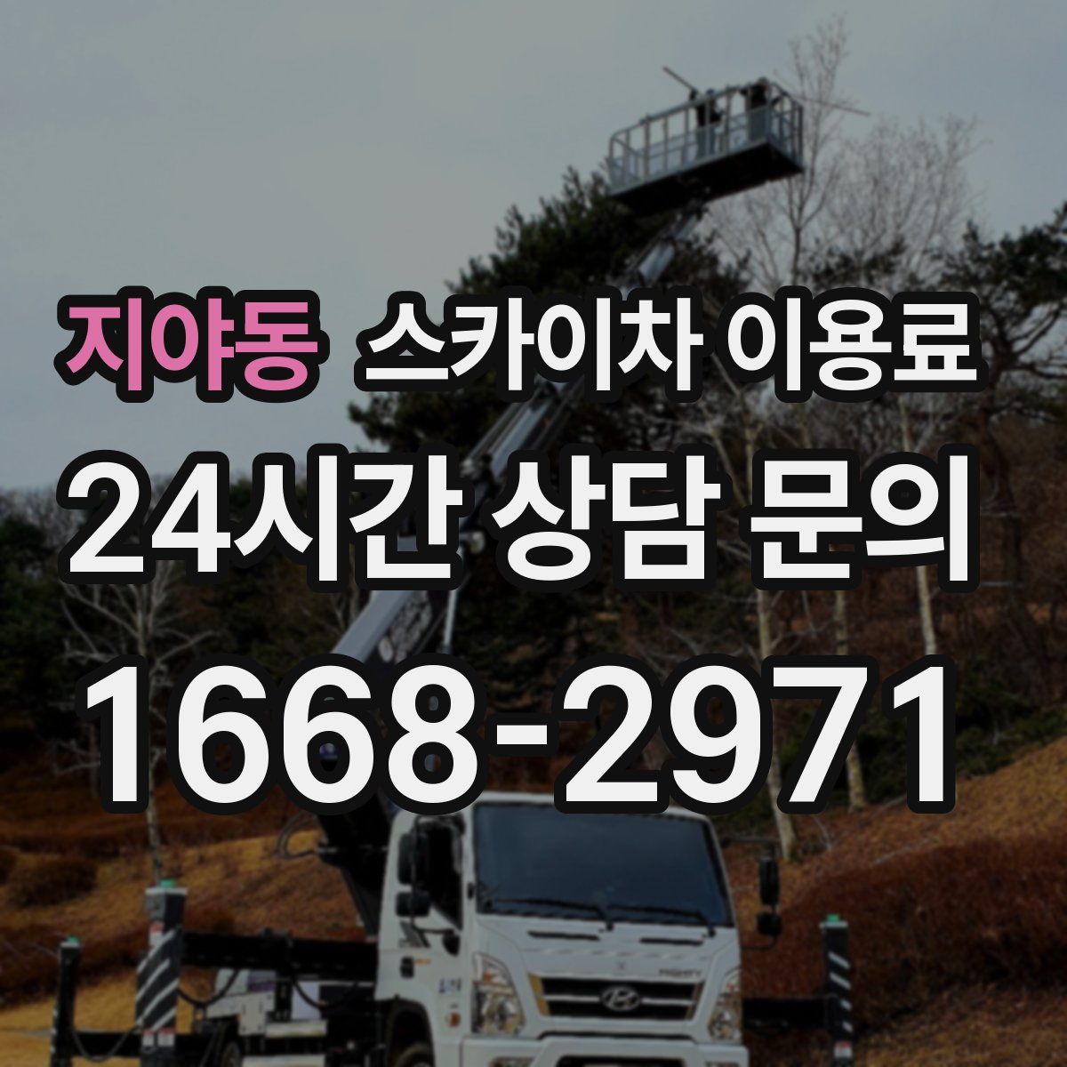 지야동 스카이차 이용료