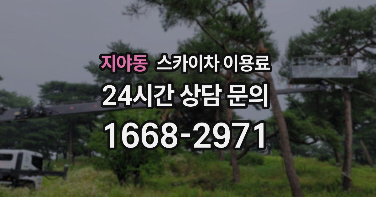 지야동 스카이차 이용료