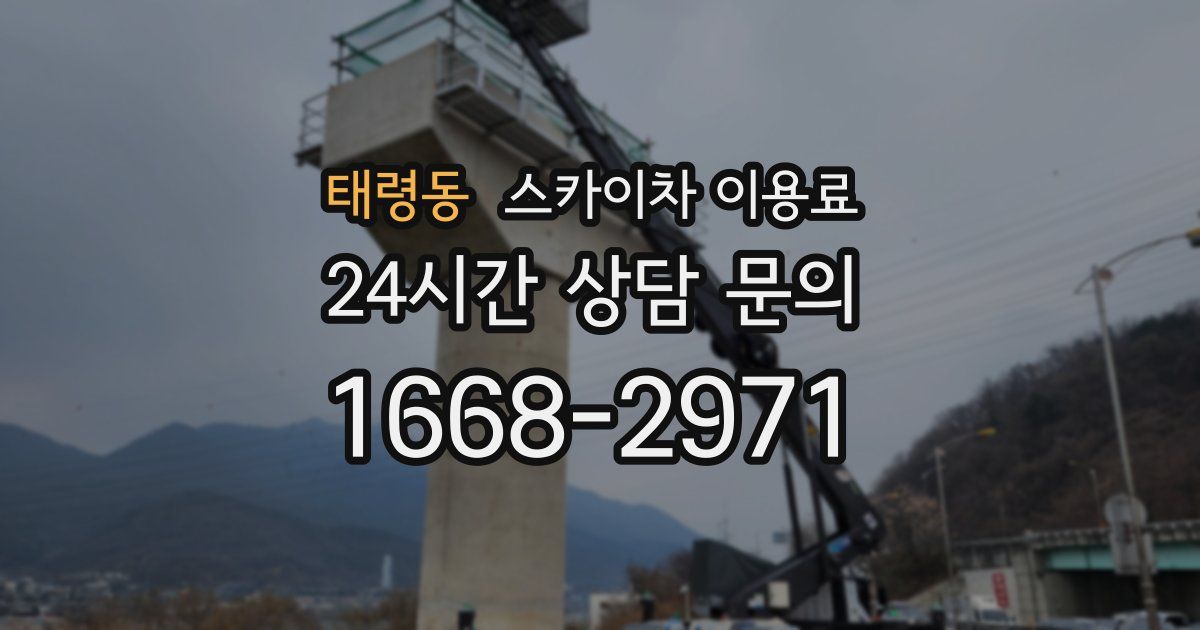 태령동 스카이차 이용료