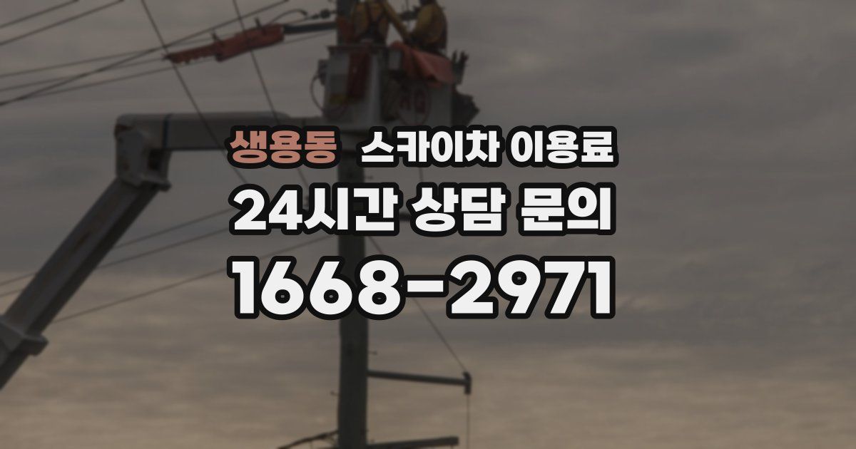 생용동 스카이차 이용료
