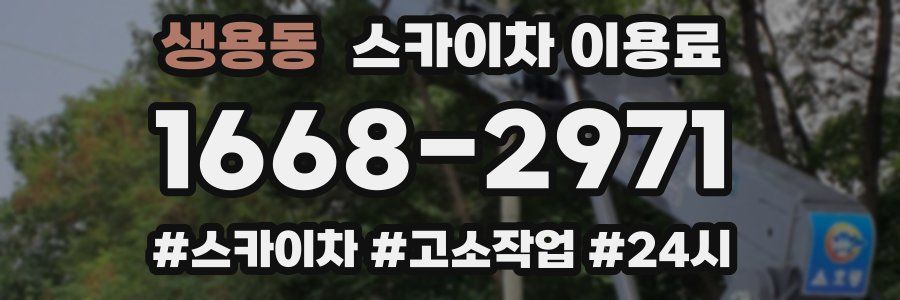 생용동 스카이차 이용료