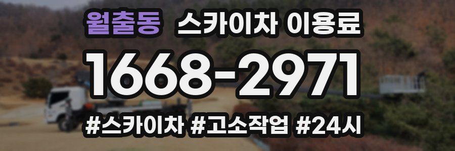 월출동 스카이차 이용료