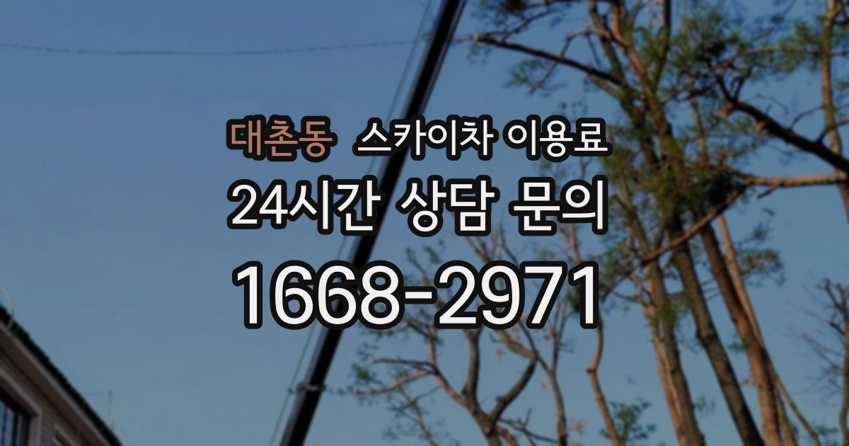 대촌동 스카이차 이용료