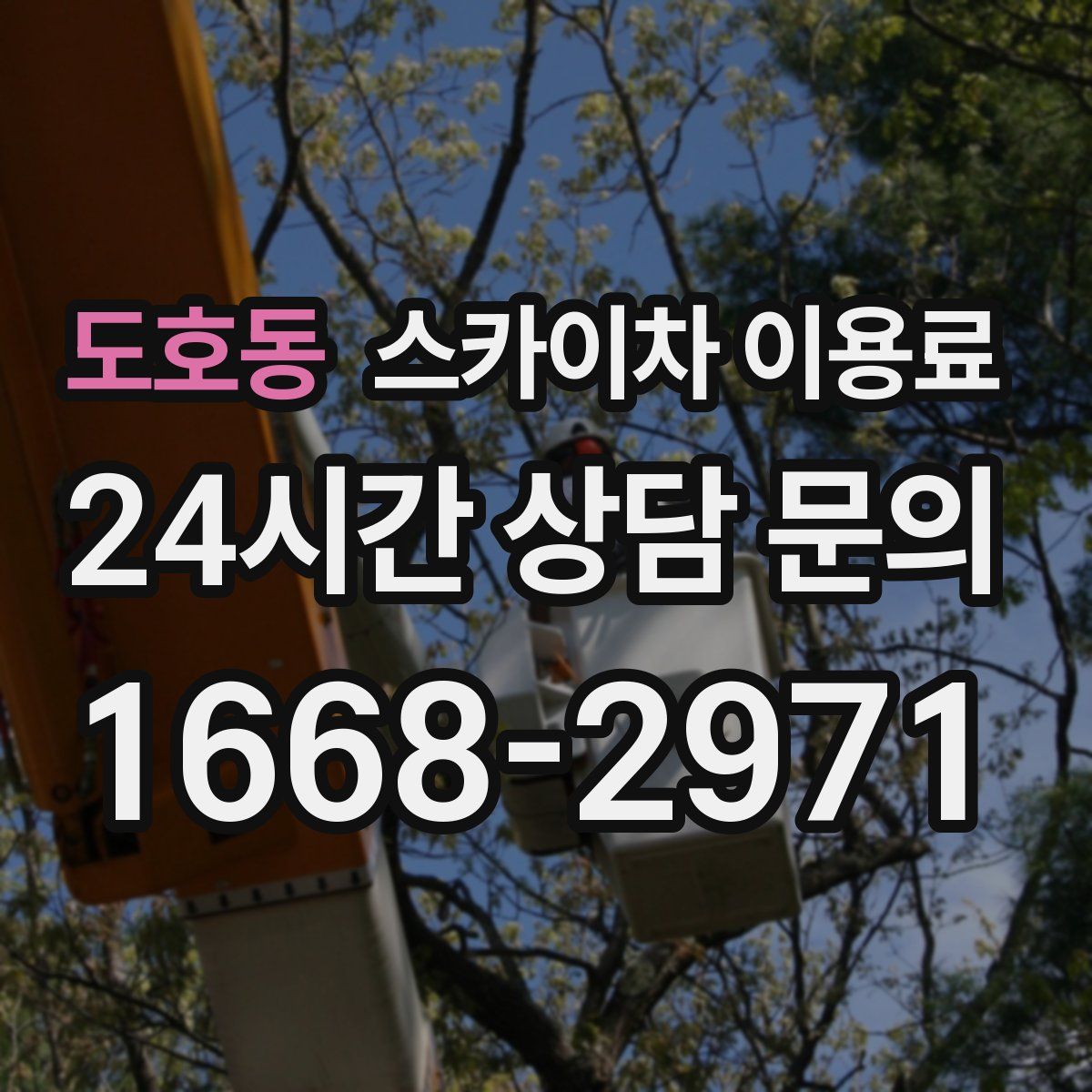 도호동 스카이차 이용료
