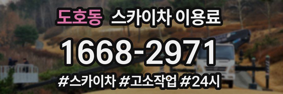 도호동 스카이차 이용료
