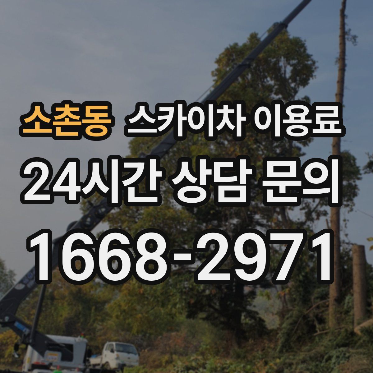 소촌동 스카이차 이용료