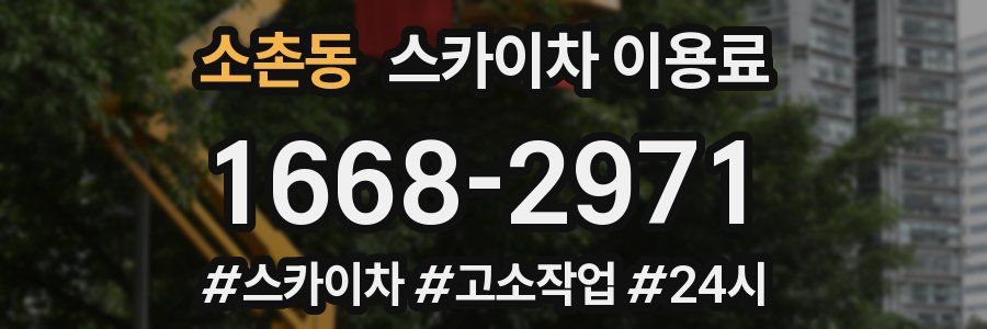 소촌동 스카이차 이용료