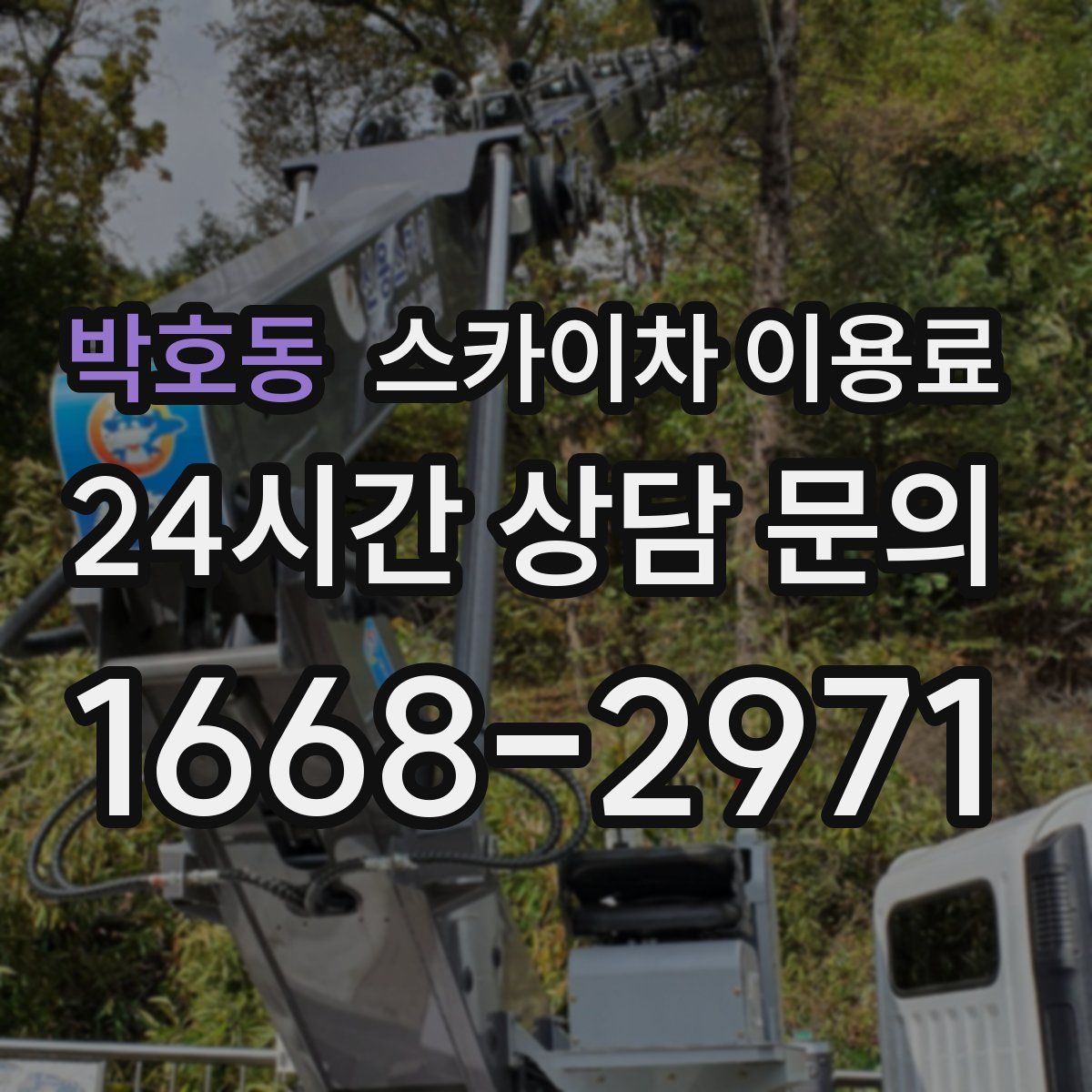 박호동 스카이차 이용료