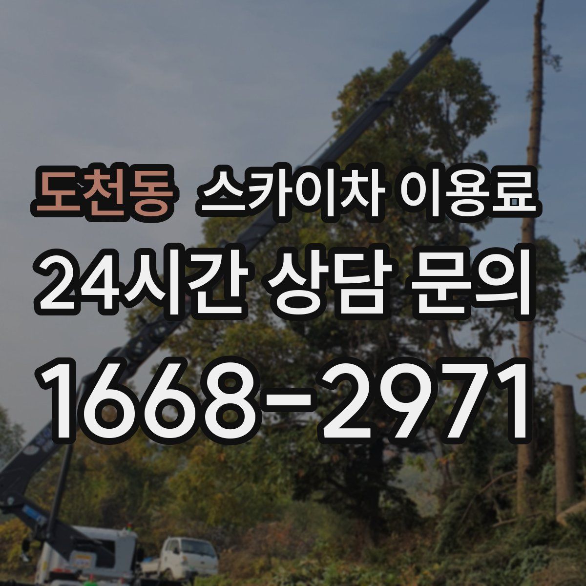 도천동 스카이차 이용료